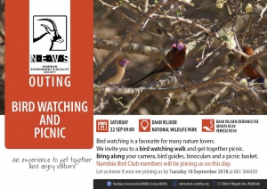 Bird Watching with Namibian Environment and Wildlife Society