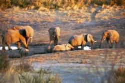 Kaudom National Park