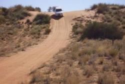 Kgalagadi Transfrontier Park