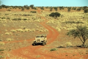 Auob Lodge Excurtion Game Drive