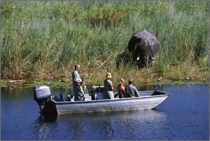 Boat Safari in Caprivi