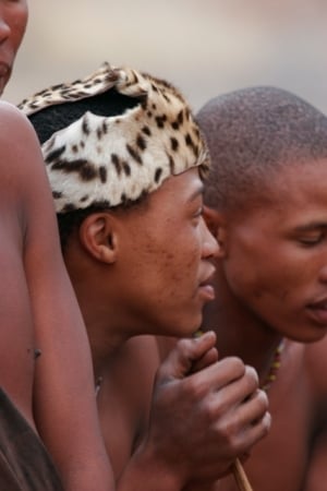 Bushmen ceremonial head gear
