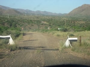 Cattle gates, go slow they can be very bumby