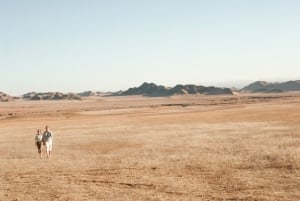 Exploring great expanses