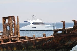 Private Catamaran Charter of Dolphin Tours