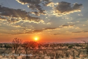 Sunset near Otjiwarongo
