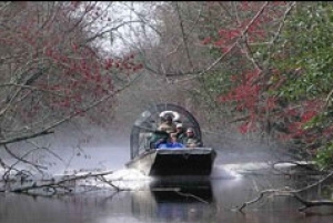 Airboat Tour of Louisiana Swamps