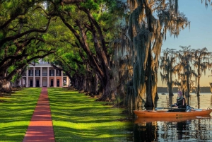 Bayous And Byways, Oak Alley Plantation And Kayak Swamp Tour