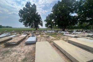 Tour della città e del cimitero di Big Easy