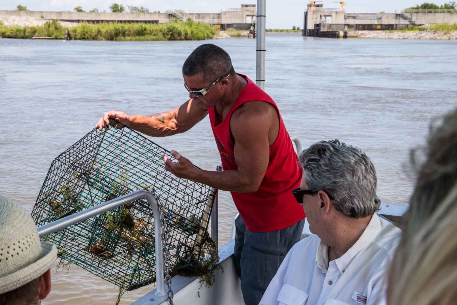 Boat Tour of Louisiana Bayous Near New Orleans