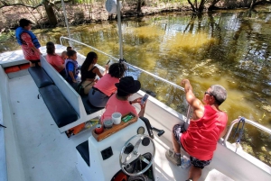 Boat Tour of Louisiana Bayous Near New Orleans