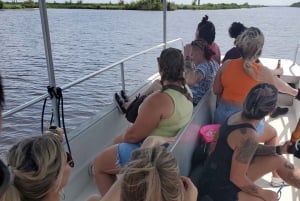 Boat Tour of Louisiana Bayous Near New Orleans