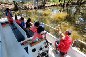 Boat Tour of Louisiana Bayous Near New Orleans