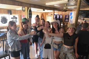 Boat Tour of Louisiana Bayous Near New Orleans