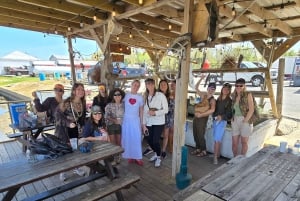 Boat Tour of Louisiana Bayous Near New Orleans