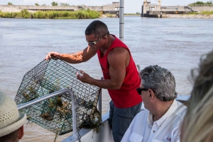 Boat Tour of Louisiana Bayous Near New Orleans