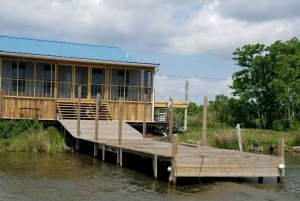 Boat Tour of Louisiana Bayous Near New Orleans