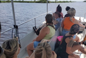 Boat Tour of Louisiana Bayous Near New Orleans