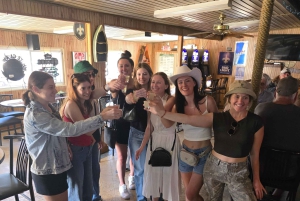 Boat Tour of Louisiana Bayous Near New Orleans