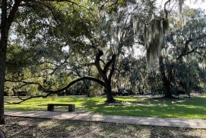 City tour in French: the historic districts