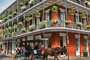 Tour del quartiere francese con guida locale e storie creole