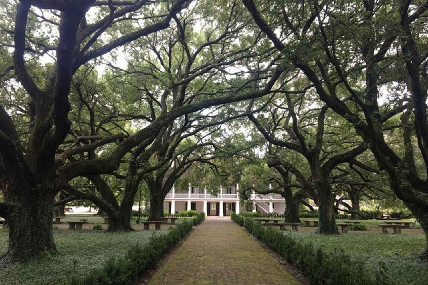 Fra New Orleans: Guidet tur til Oak Alley og Laura Plantation