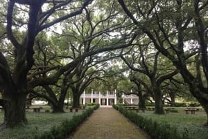 Fra New Orleans: Guidet tur til Oak Alley og Laura Plantation