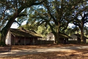 From New Orleans: Oak Alley or Laura Plantation Tour