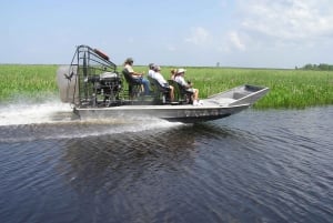 Vanuit New Orleans: Swamp Airboat, 2 Plantage Tours & Lunch