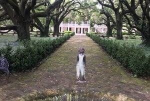 Depuis la Nouvelle-Orléans : Whitney Plantation et Airboat Tour Combo