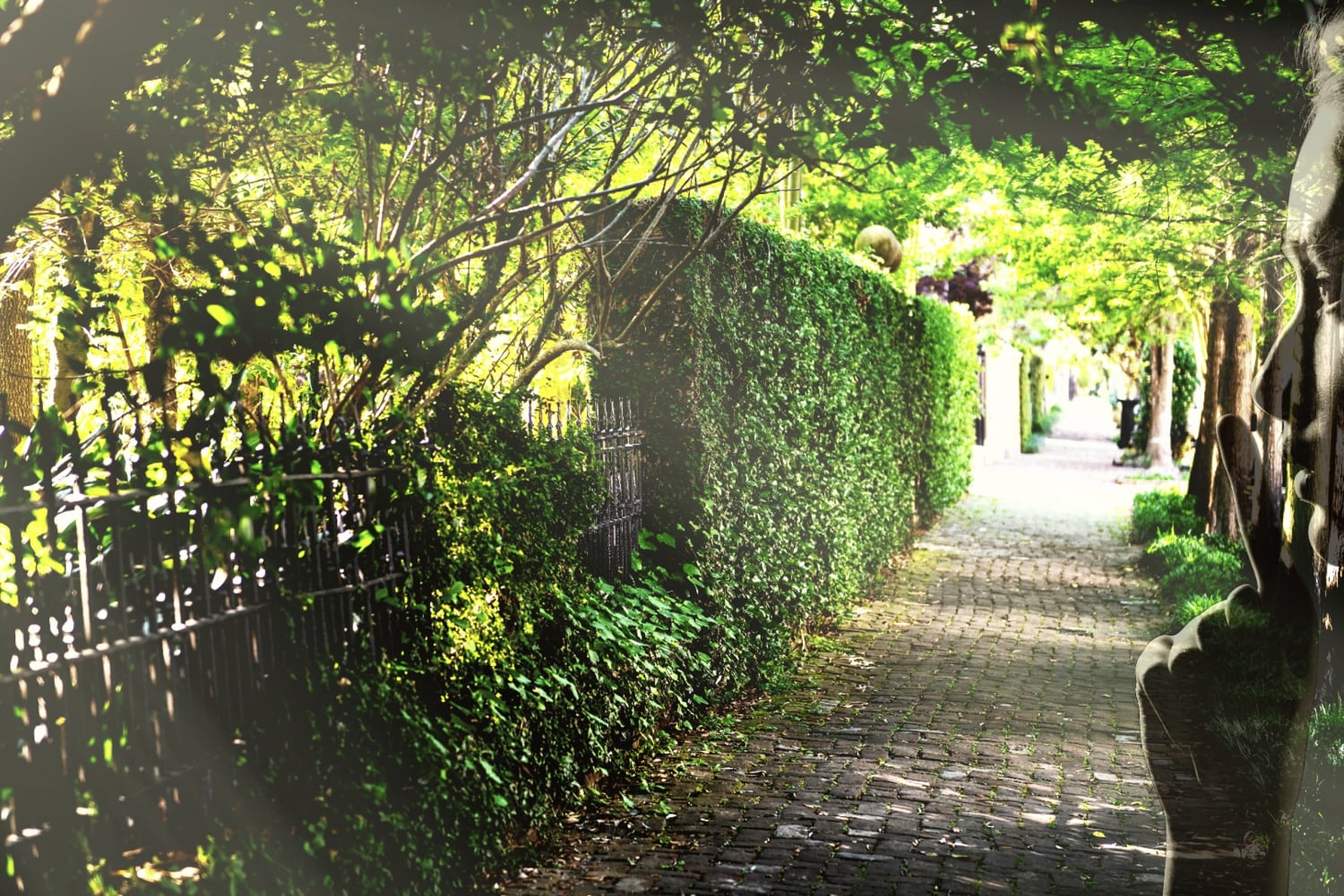 Sladder og storhed: En spadseretur gennem NOLAs havedistrikt