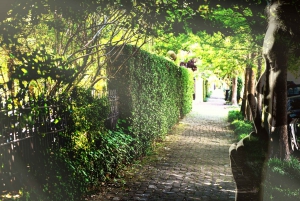 Gossip & Grandeur: A Stroll Through NOLAs Garden District