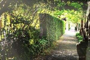 Sladder og storhed: En spadseretur gennem NOLAs havedistrikt