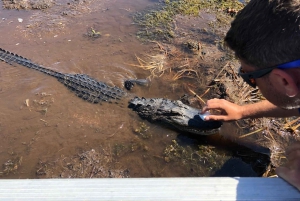 Combinación de visita guiada por la ciudad y el pantano de Nueva Orleans