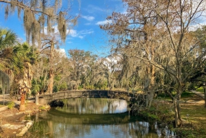 Destaques da combinação entre a cidade de Nova Orleans e o pântano