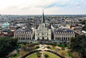 Combinación de visita guiada por la ciudad y el pantano de Nueva Orleans