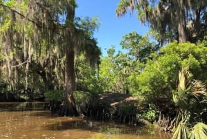 Höjdpunkter i New Orleans stadsvandring och träskkombination