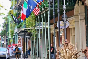 Highlights der New Orleans Stadt- und Sumpf-Tour-Kombination