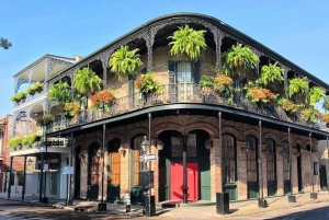 Combinación de visita guiada por la ciudad y el pantano de Nueva Orleans