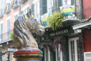 New Orleans historia - Privat kör- och vandringstur