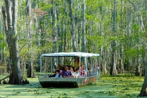 Pântano de Honey Island e passeio de barco em Bayou com transporte