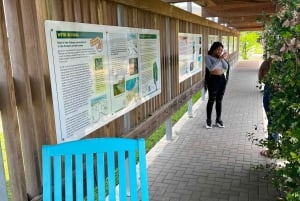 Passeio autêntico pela história do furacão Katrina na 9th Ward