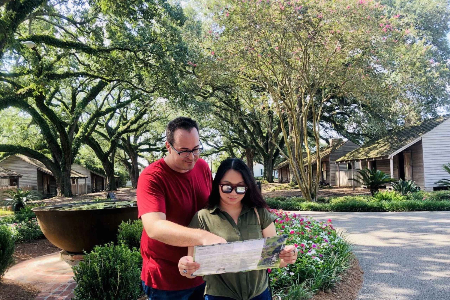 Majestic Oak Alley Plantation Tour