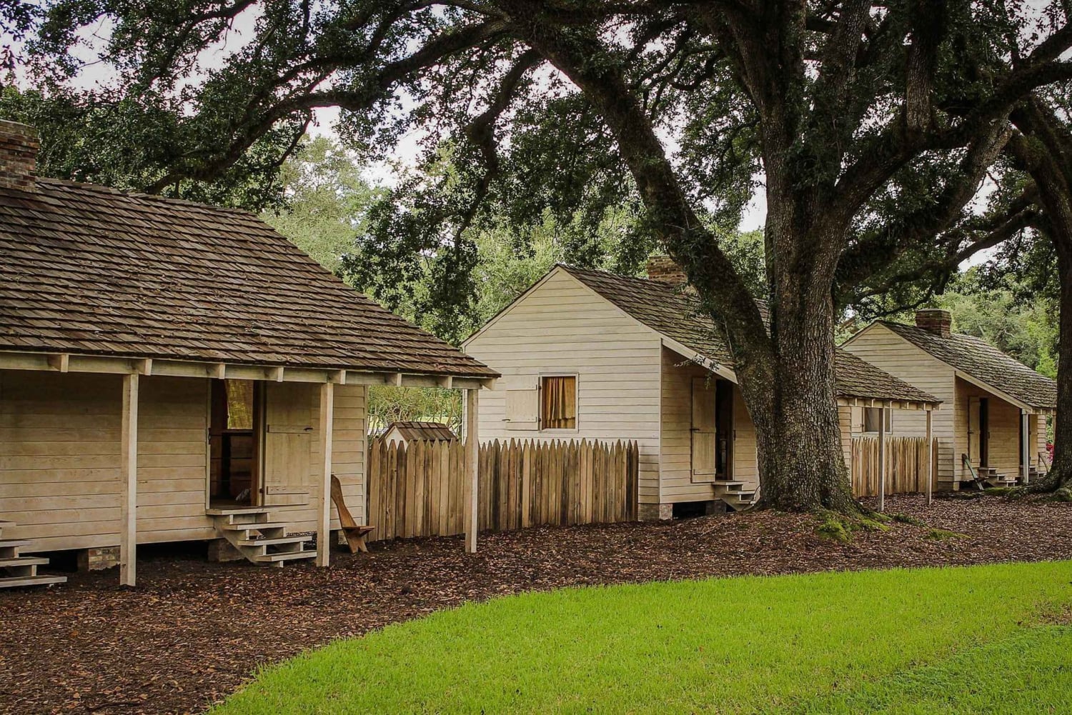 Majestic Oak Alley Plantation Tour