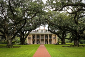 Majestic Oak Alley Plantation Tour