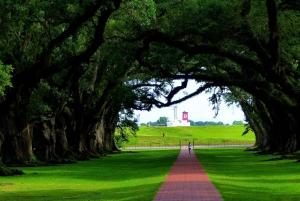 Majestic Oak Alley Plantation Tour