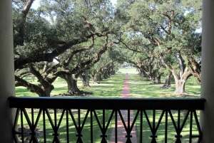 Majestic Oak Alley Plantation Tour