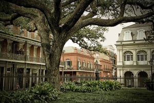 Mystique of the Lower French Quarter