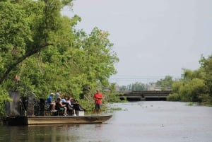 New Orleans: 16 Passenger Airboat Swamp Tour