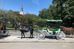 Nova Orleans: excursão de 2,5 horas pela cidade e cemitério de ônibus